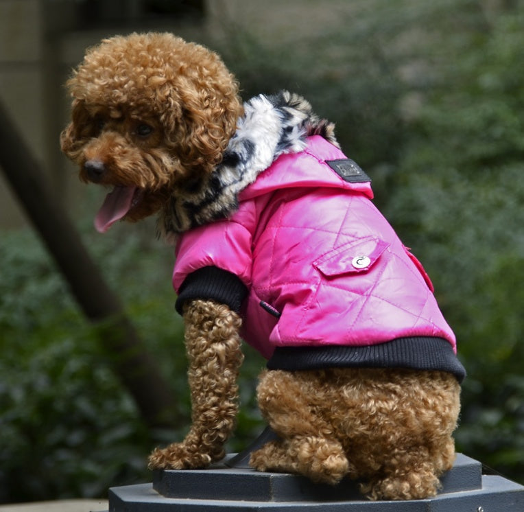 Winter Warm Dog Hoodie Jacket – Soft Fleece Pet Coat for Small & Medium Dogs