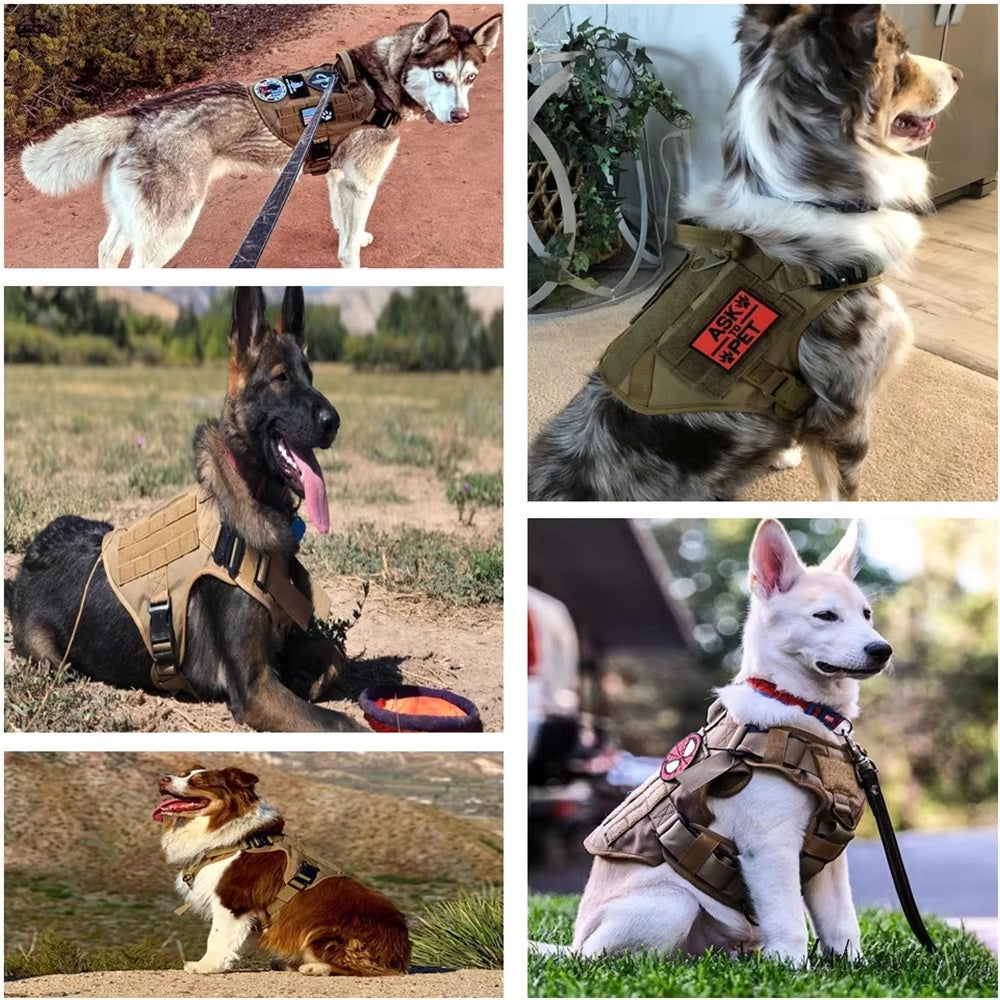 Tactical Dog Harness & Leash Set – 1000D Nylon Camouflage Training Vest